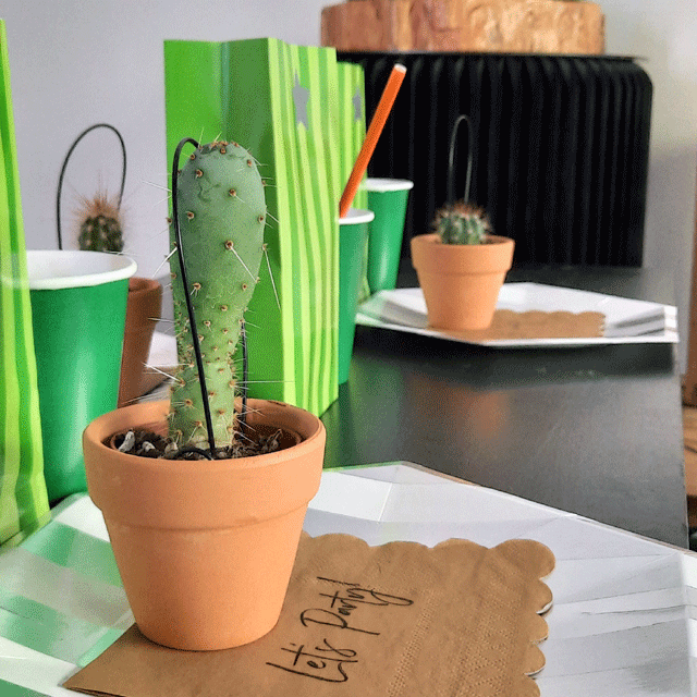 partini-cactus-favour-pvz